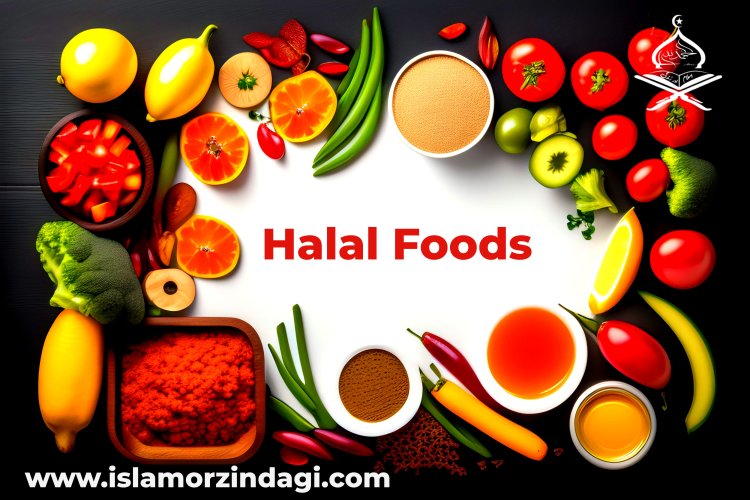 Halal Foods Authentic Islamic Information 